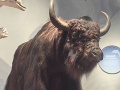 -中国湿地博物馆
