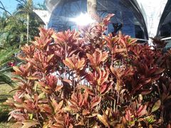 -人民公园(罗湖区)