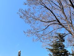 -刘公岛景区