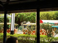 -深圳野生动物园