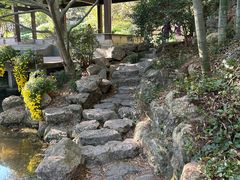 -杭州植物园