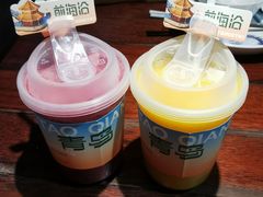 -前海沿·青岛菜(五四广场永旺店)