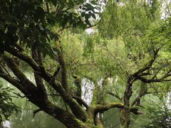 -贵阳市花溪国家城市湿地公园