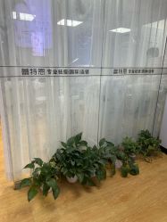 -蕾特恩专业祛痘