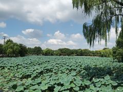 -石湖景区