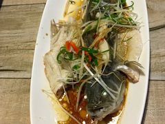 -四姐妹东北饺子(沙尾路店)