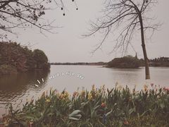 -海珠湖公园