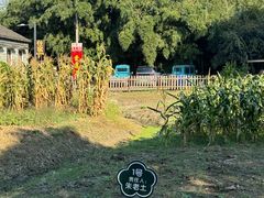-莲花岛景区