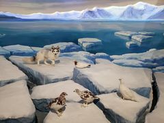 -陕西自然博物馆