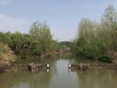 -溱湖国家湿地公园