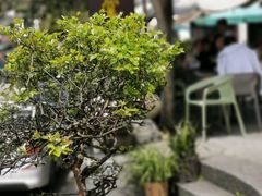 -礼耕堂·百年茶人餐厅(梅家坞店)