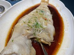 -金狮麟·新豫菜(金码大厦店)