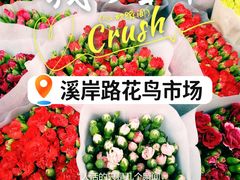 -溪岸路花鸟市场