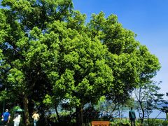 -东钱湖旅游度假区