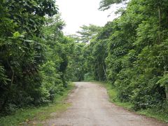 -武吉知马自然保护区