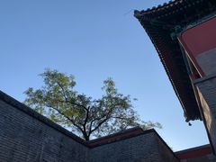 -普陀宗乘之庙