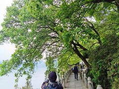 -严子陵钓台(富春江小三峡)