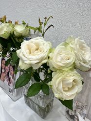 -DELAVAY黛乐薇抗衰中心