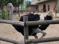 -祥源·阜阳生态乐园