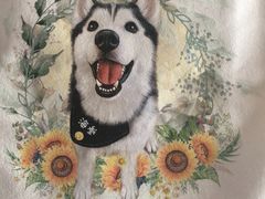 -Husky Go! 哈士奇体验馆·宠物咖啡厅狗咖