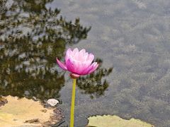 -云溪植物园