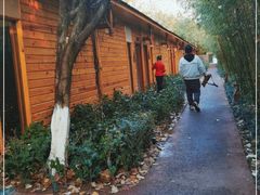 -阿斯牛牛十二餐厅•四季餐厅(民族大道店)