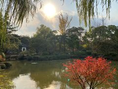-秋霞圃