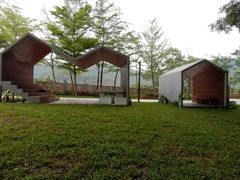 -银湖山郊野公园-相思林