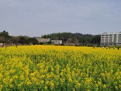 -红山村