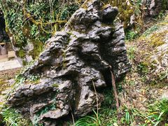 -山王坪喀斯特国家生态公园