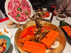 -小龙翻大江·小龙坎臻选店(太古里店)