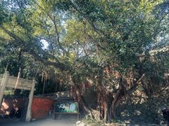 -草庵摩尼教遗址公园