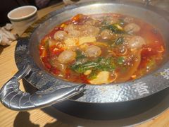 -0048鲜活香辣虾·火锅(铜陵路店)