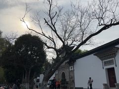 -采石矶景区