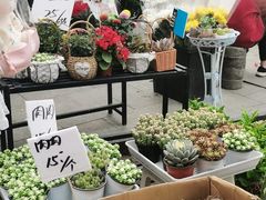 -循礼门鲜花花市(武汉循礼门店)