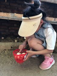-上美四季动物农场