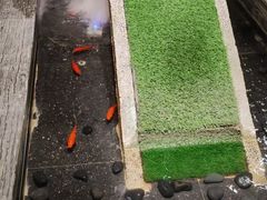 -湊湊火锅·茶憩(石家庄万象城店)