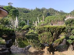 -深圳仙湖植物园