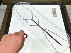 -上海昆虫博物馆