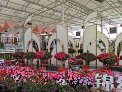 -盈香心动乐园