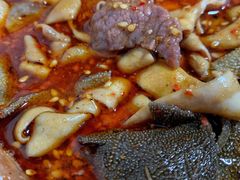 -高记什邡肖麻辣(成都店)