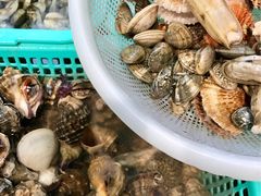 -船梆煮•蒸汽海鲜·炉火烤肉(五四广场店)