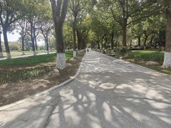 -上海鲜花港