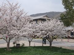-品渔味湖鲜馆(拈花湾店)
