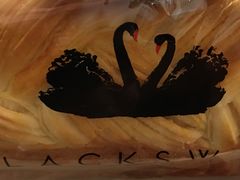 -BLACKSWAN黑天鹅(环球店)