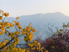 -周口店坡峰岭风景区