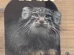 -青藏高原野生动物园