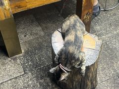 -老陈婆手工面庄