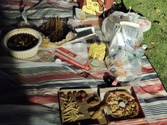 -铁山坪森林公园