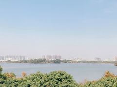-立新湖公园